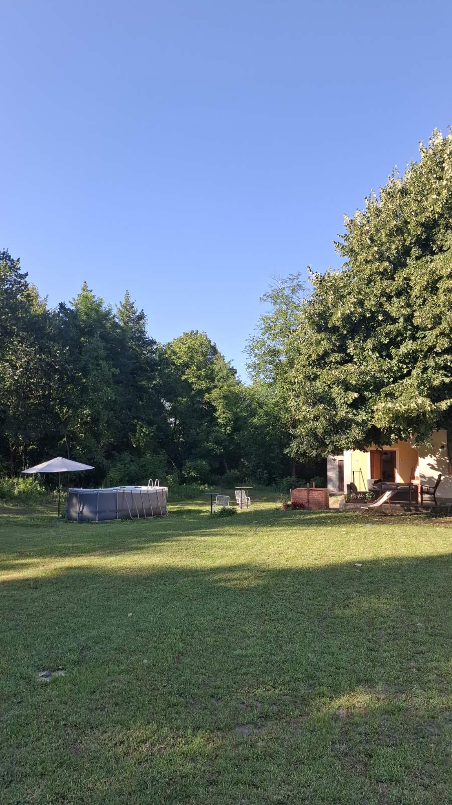 Veliko drvo pravi hlad za celo dvorište, pa ima mesta i za igru i za odmor